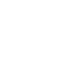 State Language Program