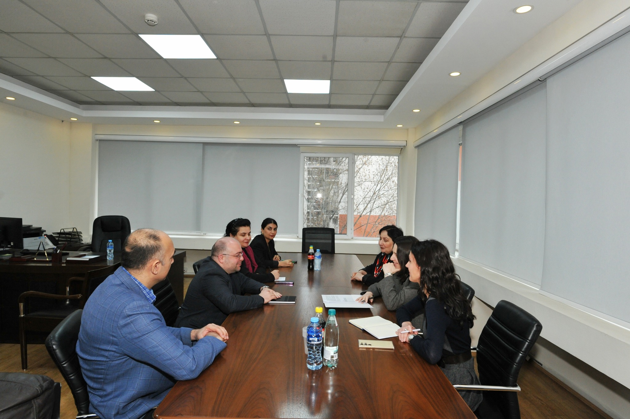 შეხვედრა დევნილთა, ეკომიგრანტთა და საარსებო წყაროებით უზრუნველყოფის სააგენტოში